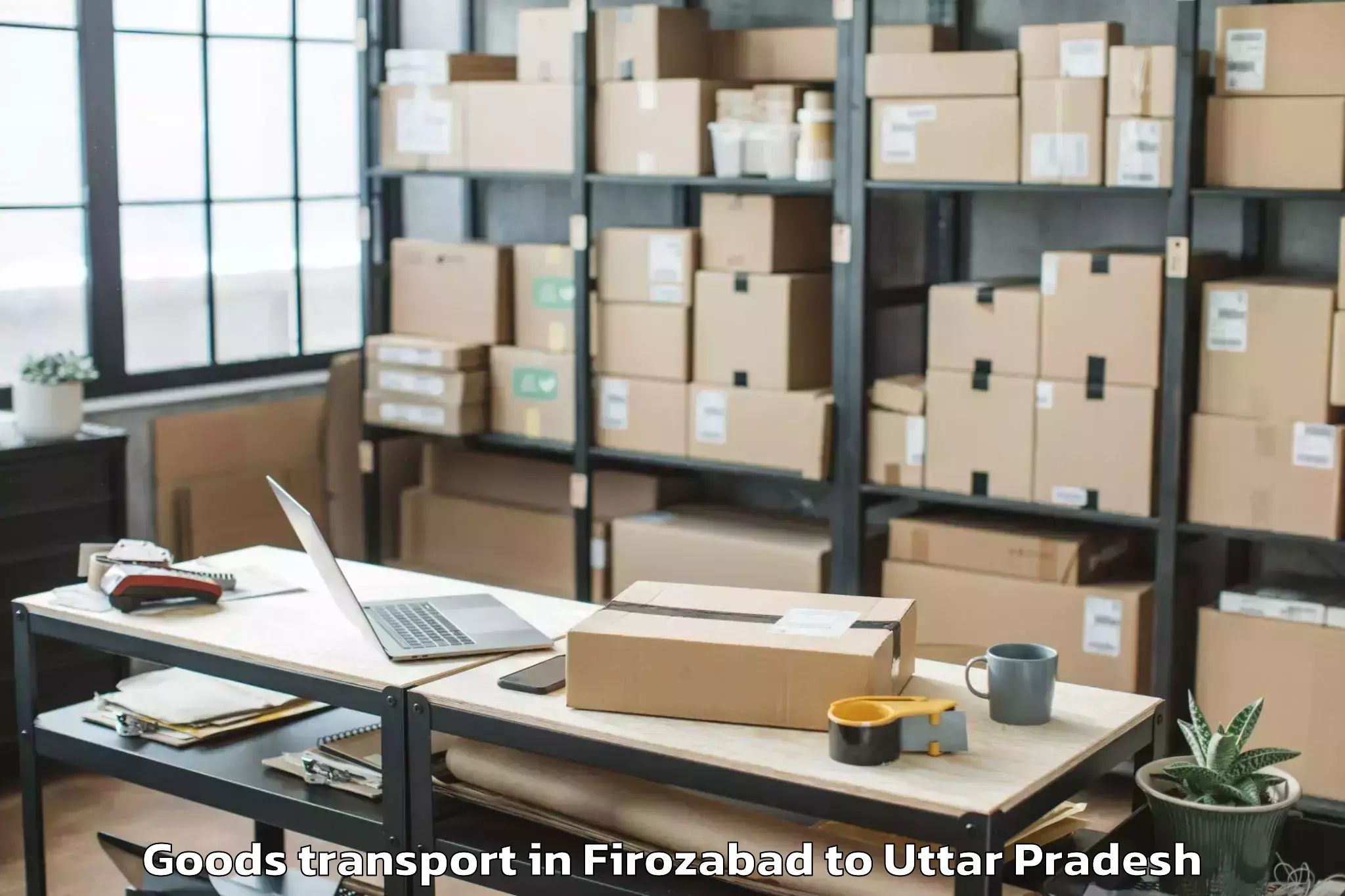 Top Firozabad to Pinahat Goods Transport Available